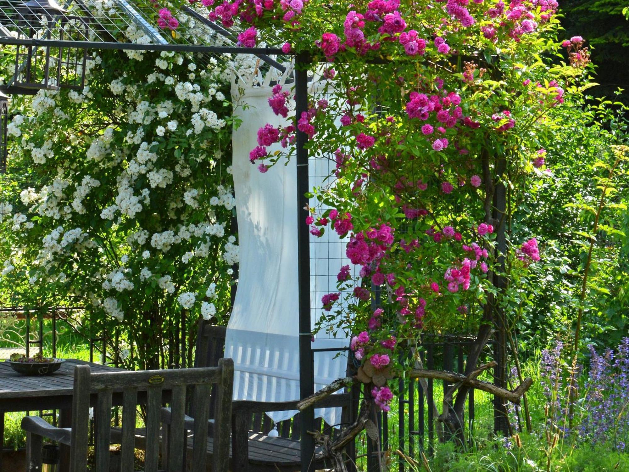 Im Vital Art Naturgarten Zweibrücken Eksteriør billede