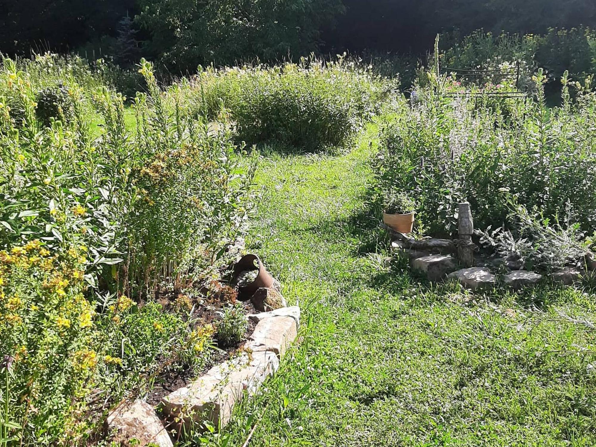 Im Vital Art Naturgarten Zweibrücken Eksteriør billede